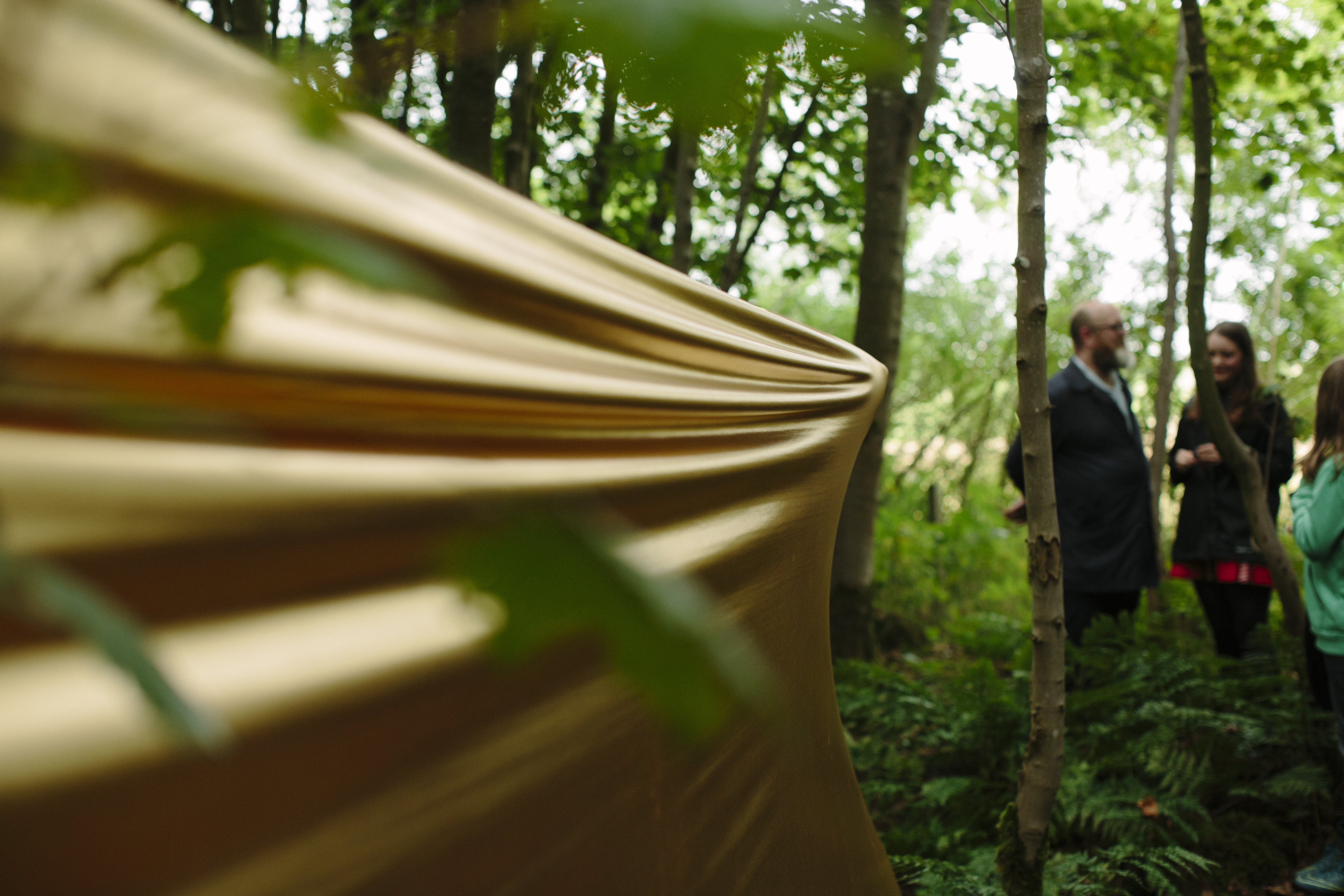 Nemoralia_JupiterArtland_PeterDibdin_176