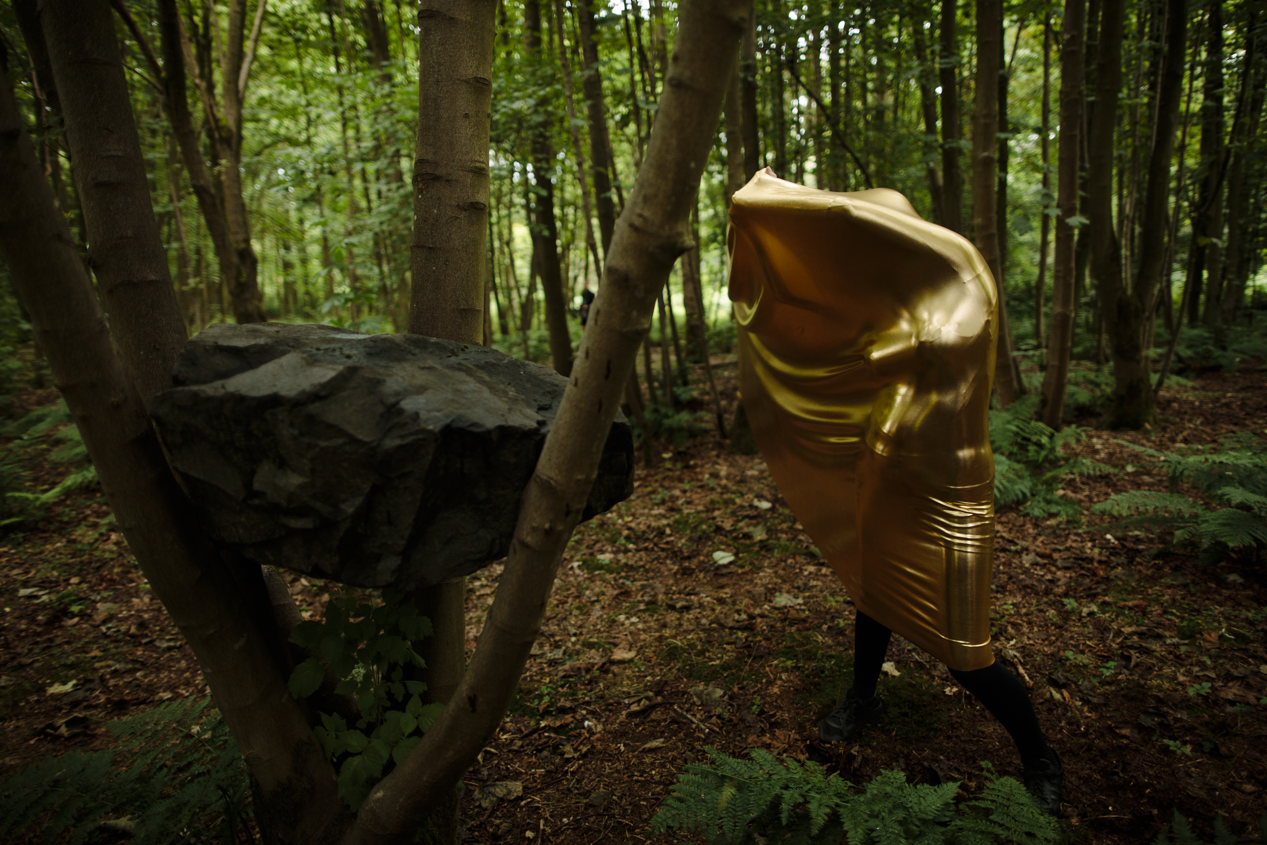 Nemoralia_JupiterArtland_PeterDibdin_180