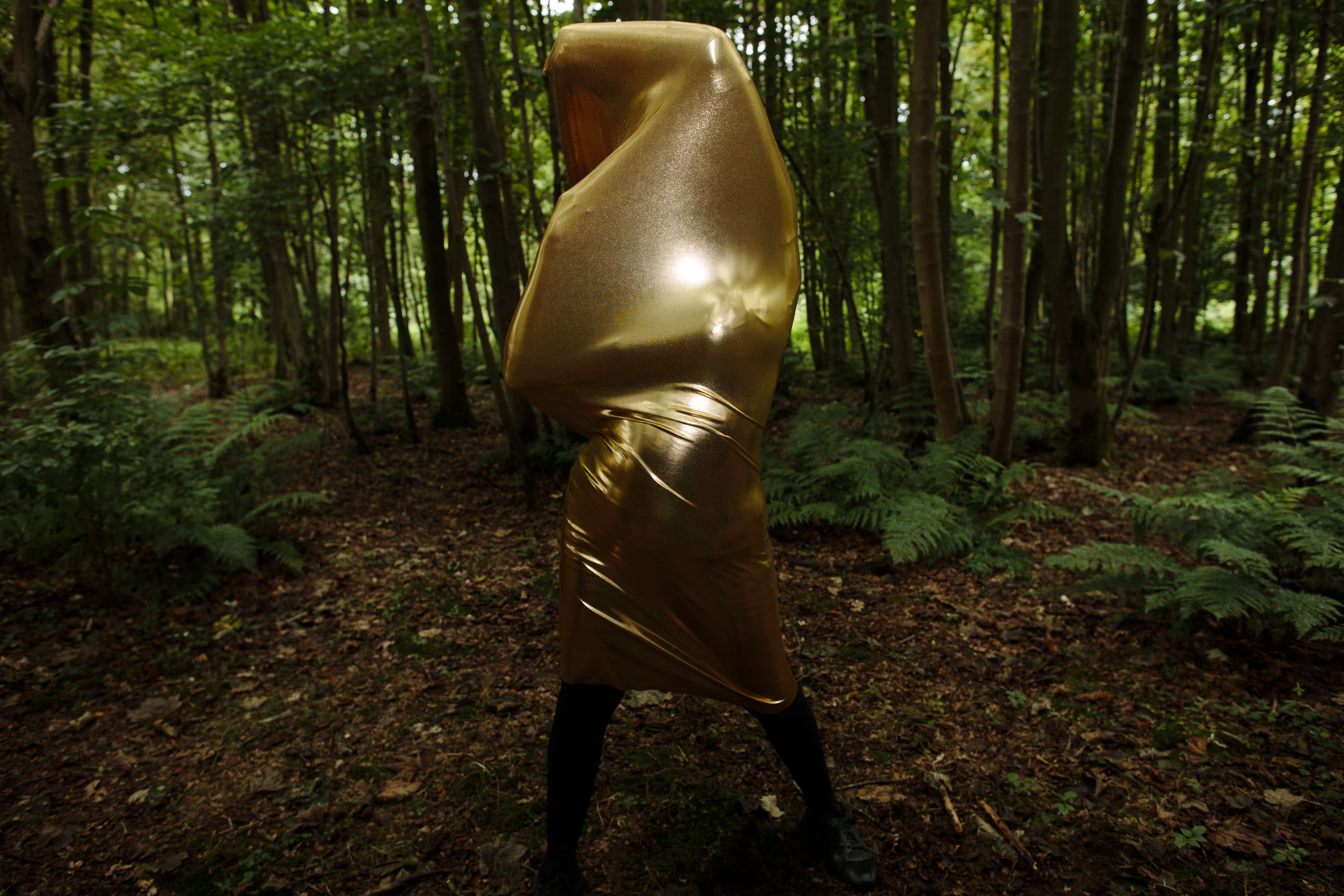 Nemoralia_JupiterArtland_PeterDibdin_185