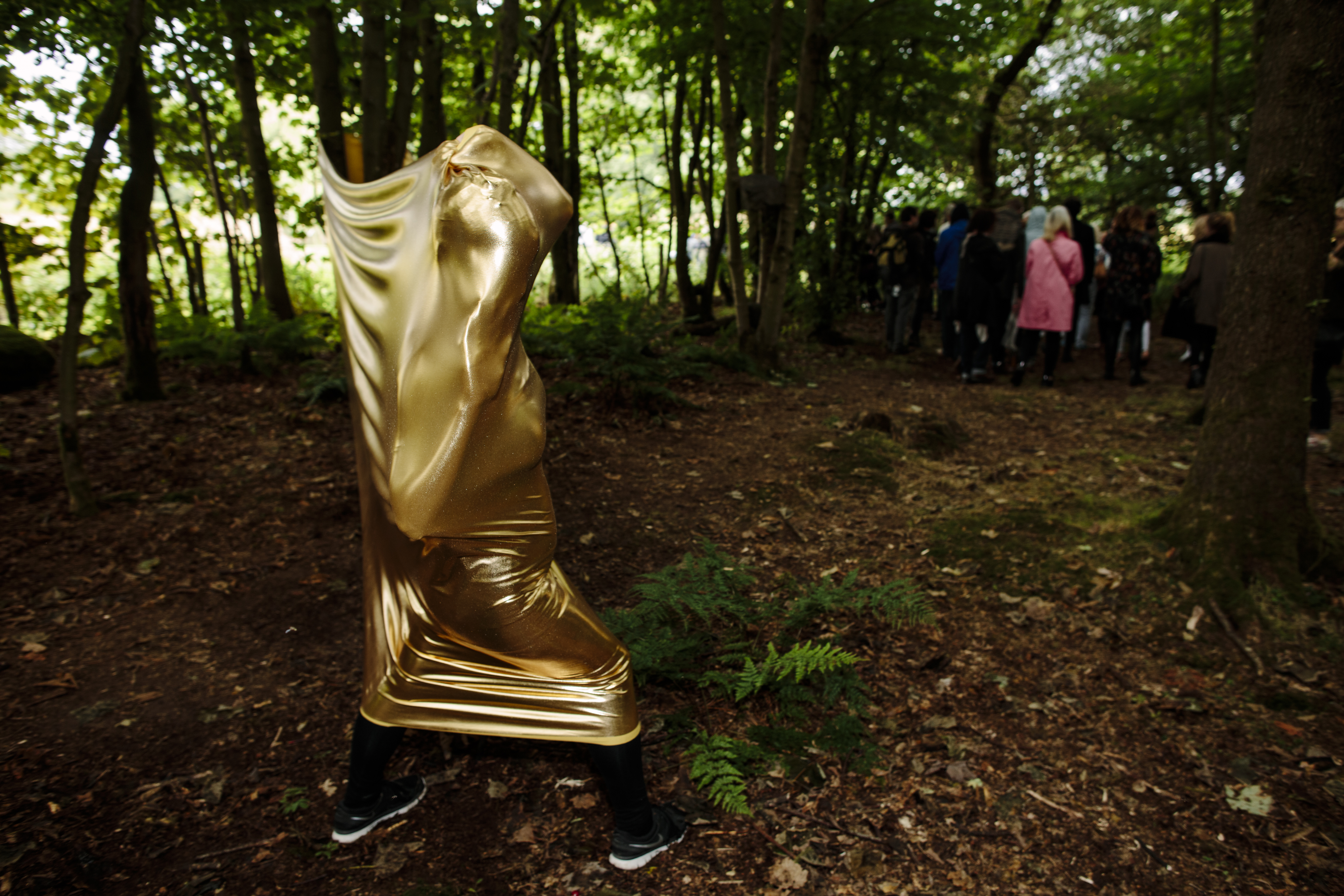 Nemoralia_JupiterArtland_PeterDibdin_193